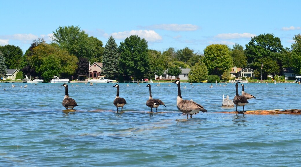 Canadians in charge of the waters.