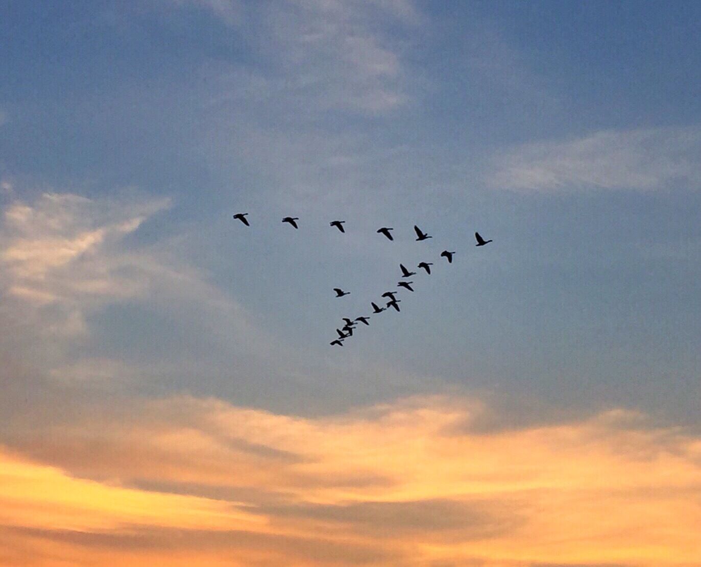 Beautiful morning on the kayak. 