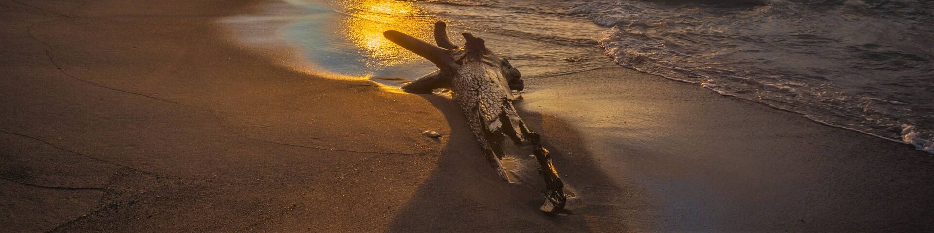 Lake Erie