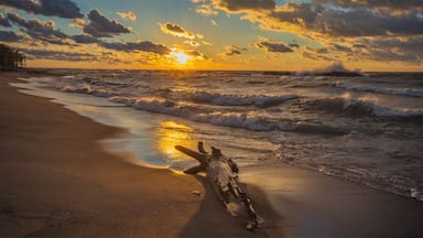 Una playa con olas al atardecer, una estructura de madera a lo lejos y un tronco grande en la arena.