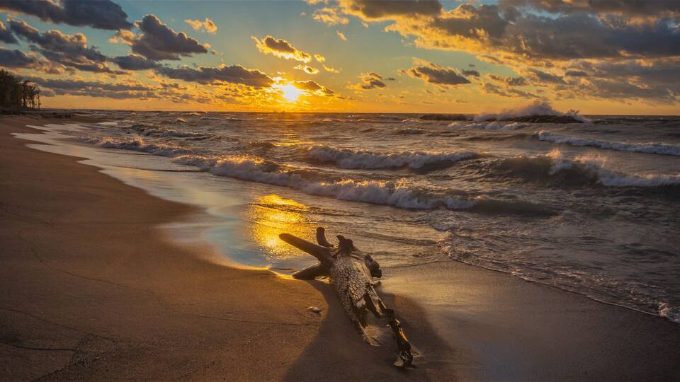 A beach with waves at sunset, a wooden structure in the distance, and a large tree trunk on the sand.