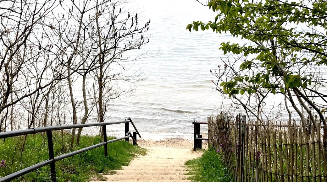 A nice sand covered walkway to the beach at Lake Michigan at Piers Cove Park.
A small, beautiful beach, Fennville’s Pier Cove Beach features a small creek that lets out into Lake Michigan, which is often warmer than the big lake. It’s perfect for small kids to splash in! Families can also find rocks and logs and make sculptures! In the big lake, kids (and adults!) will swim to their hearts’ content. Oh, and dogs are welcome! This is the perfect pit stop to escape crowds; the only drawback: there are no bathrooms or changing rooms, so plan accordingly!
