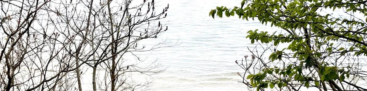 A nice sand covered walkway to the beach at Lake Michigan at Piers Cove Park.
A small, beautiful beach, Fennville’s Pier Cove Beach features a small creek that lets out into Lake Michigan, which is often warmer than the big lake. It’s perfect for small kids to splash in! Families can also find rocks and logs and make sculptures! In the big lake, kids (and adults!) will swim to their hearts’ content. Oh, and dogs are welcome! This is the perfect pit stop to escape crowds; the only drawback: there are no bathrooms or changing rooms, so plan accordingly!