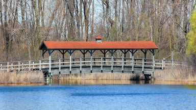 Historic covered bridge in Michigan over the creek during early spring time