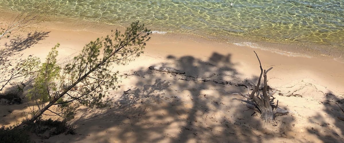 A nice beach area to sit and relax at before a long hike ahead of you.