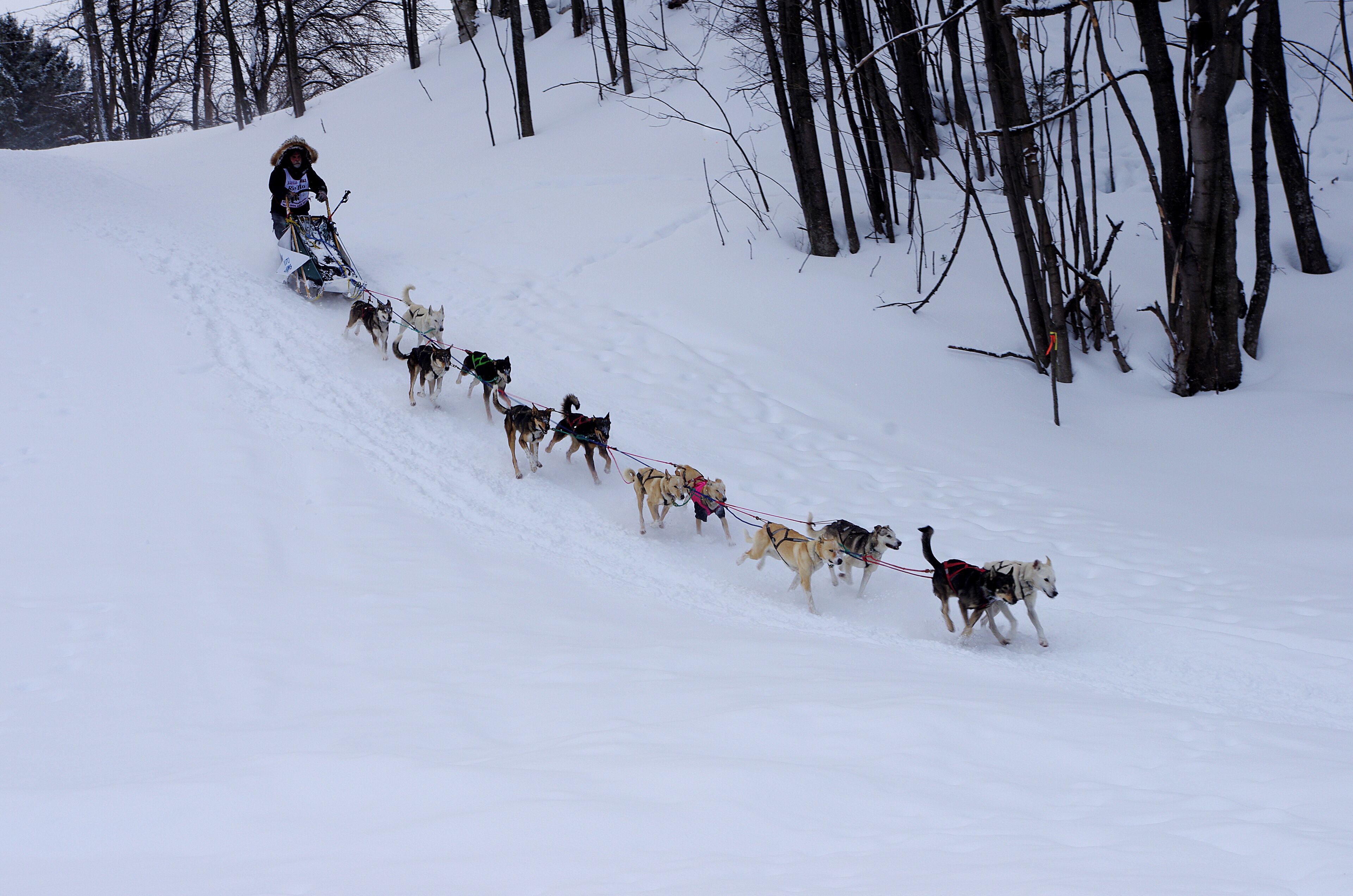 Grand Marais is in Michigan's Upper Peninsula(UP).  Winter is long and cold in the UP with substantial amounts of snow. February each year Grand Mara is is a checkpoint for the UP200 dog sled race. Teams of 12 dogs compete, what an incredible sight. #OnTheRoad
