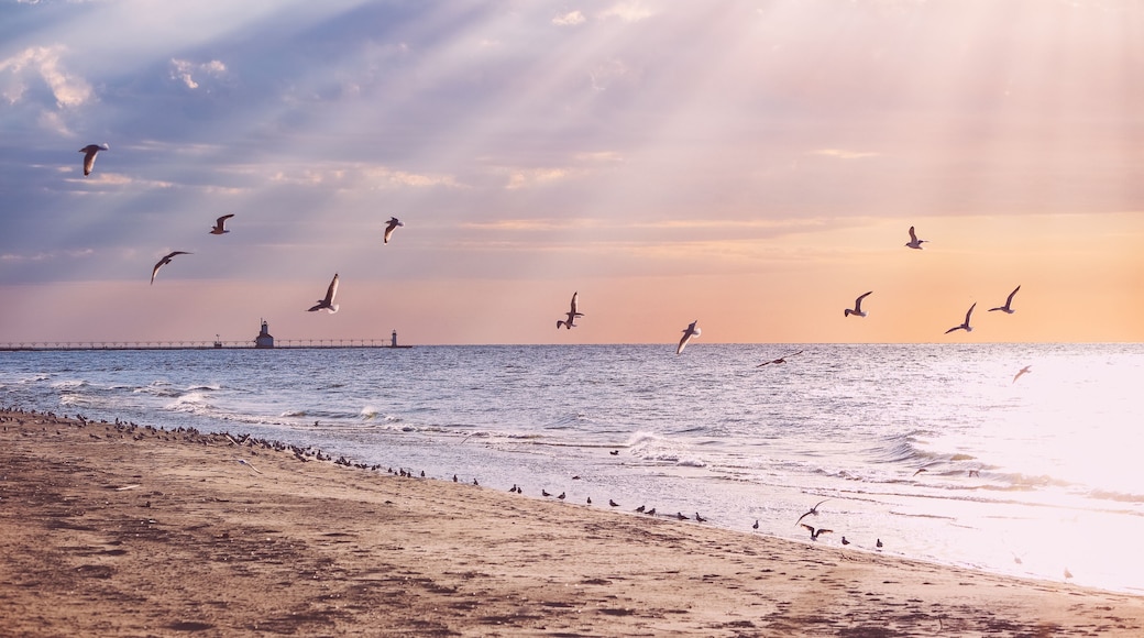 Beach background, rays of sunlight at sunset, Lake Michigan