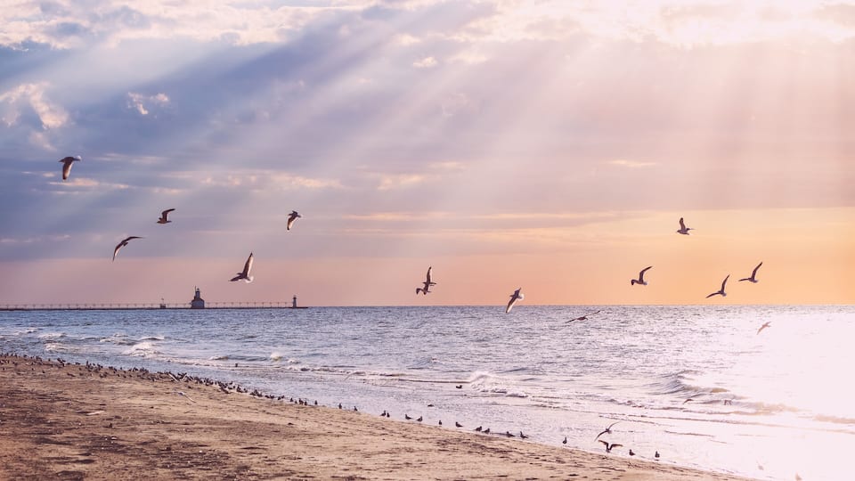 A beach with seagulls flying and a pier in the distance.