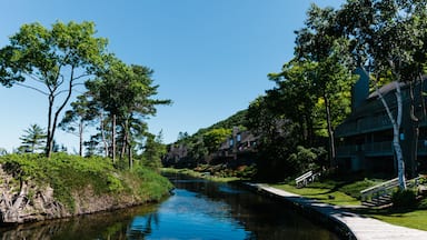 Canal near the lake in Northern Michigan