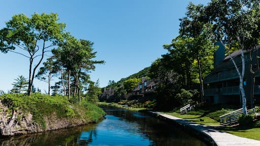 Canal near the lake in Northern Michigan