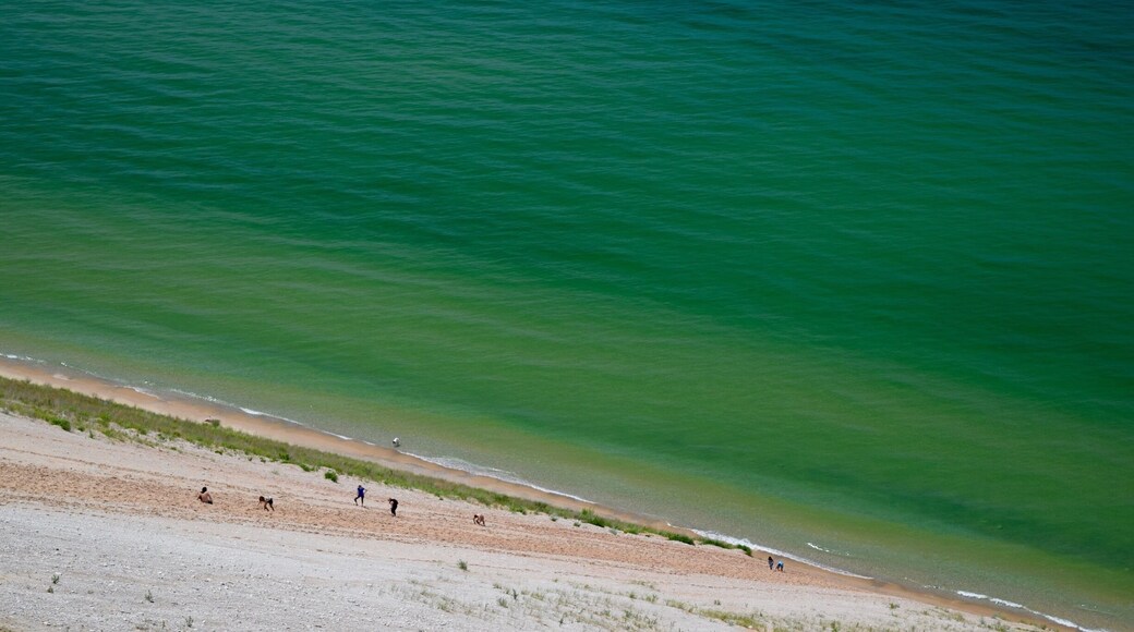 A view of the hike back up the Dunes along the Pierce-Stocking Scenic Drive in Sleeping Bear Dunes National Lakeshore, Lake Michigan. This dune is 2,000 feet high. Posted signs say it takes about two hours to hike up to the top. Needless to say, the beach is not very crowded. People sometimes have to be rescued on the climb up because it's so steep and the sand shifts so much they can't make the full climb. Then they get the bill in the mail! #blue #green #BeachTips #Perspectives