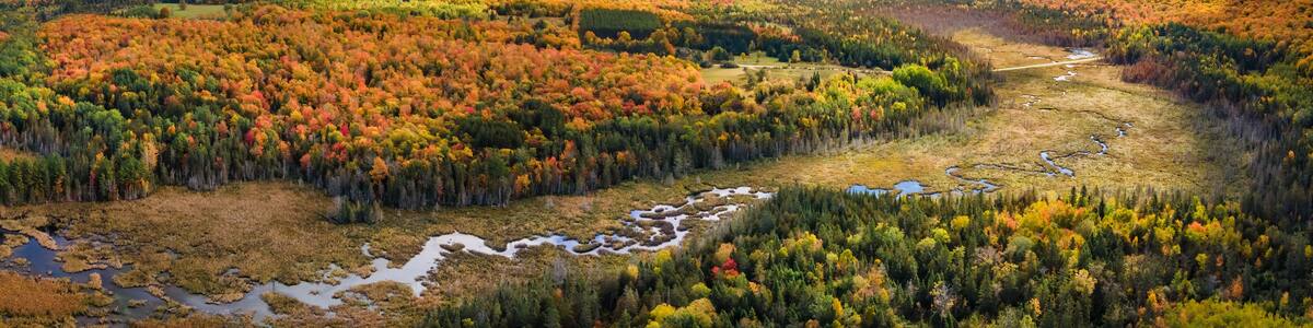 Beautiful autumn scenery in the Michigan UP