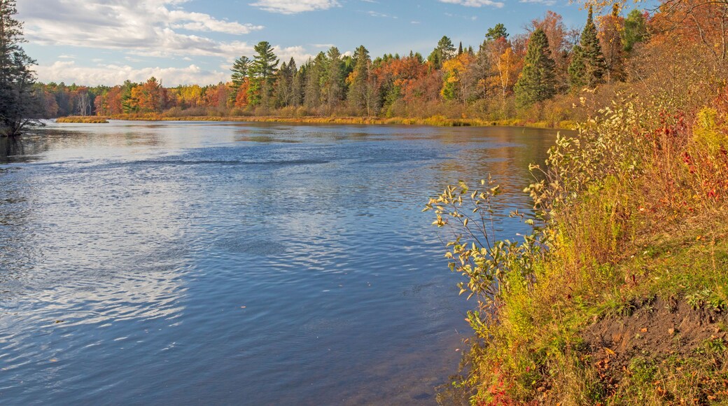 AuSable River, Huron National Forest, Alcona County, Michigan