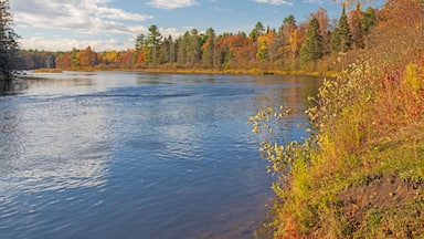 AuSable River, Huron National Forest, Alcona County, Michigan