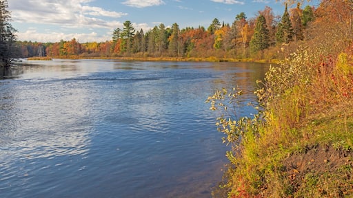 AuSable River, Huron National Forest, Alcona County, Michigan