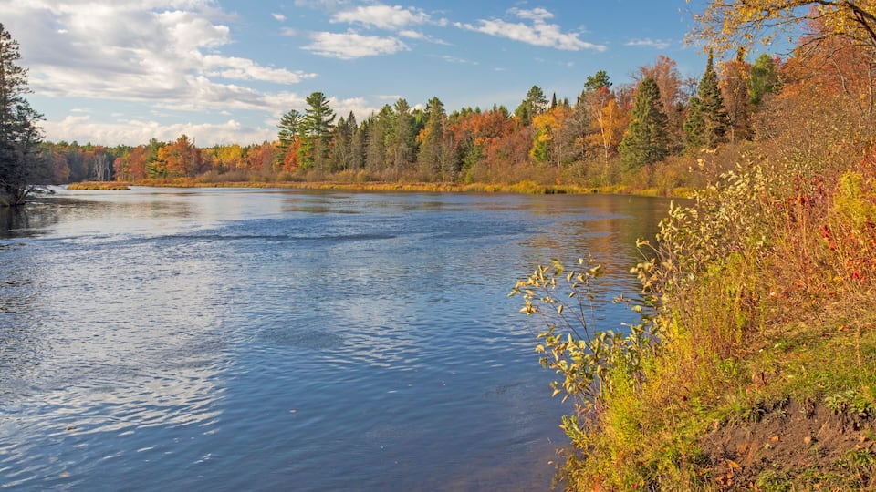 A calm river with autumn foliage and a clear sky.