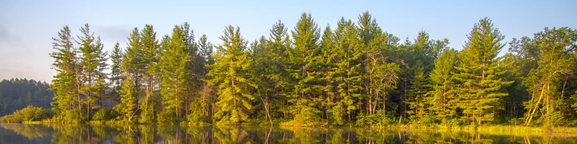 Forest Lake Reflections. Beautiful wilderness forest reflected in the calm water of a northern Michigan lake