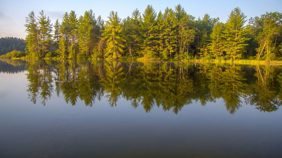 A calm lake with dense green trees reflecting on the water's surface.