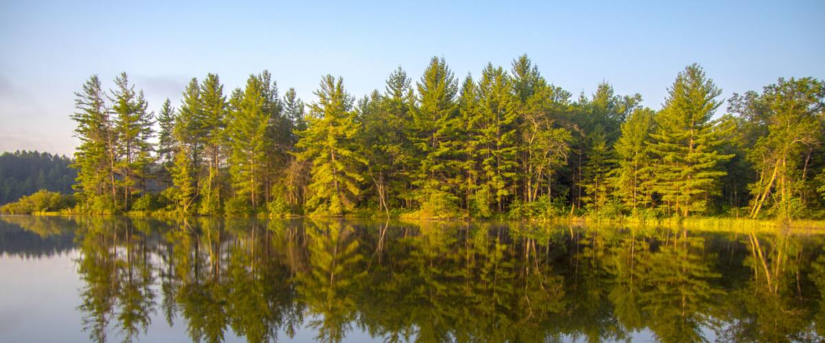 A calm lake with dense green trees reflecting on the water's surface.