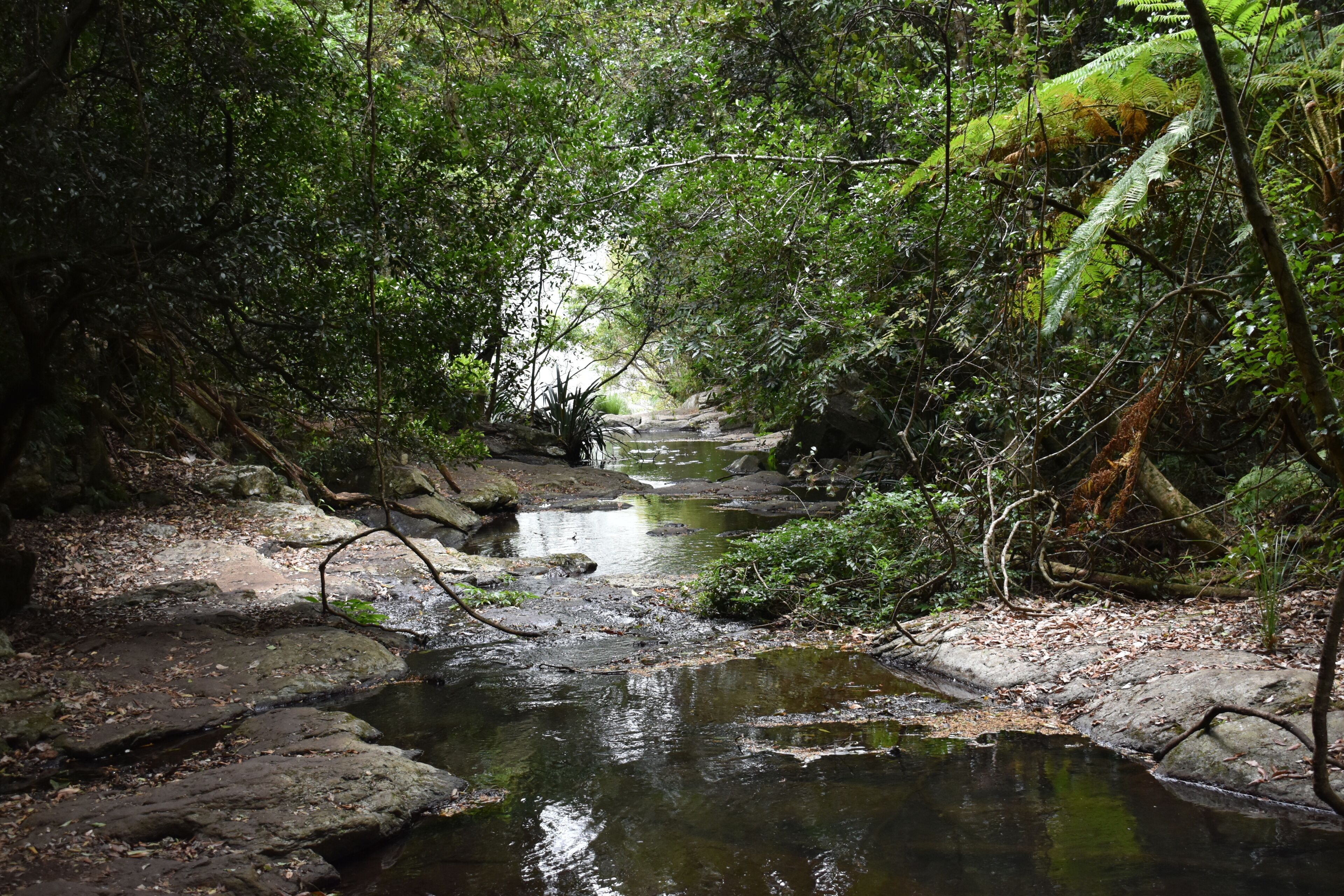Moran’s Fall Creek