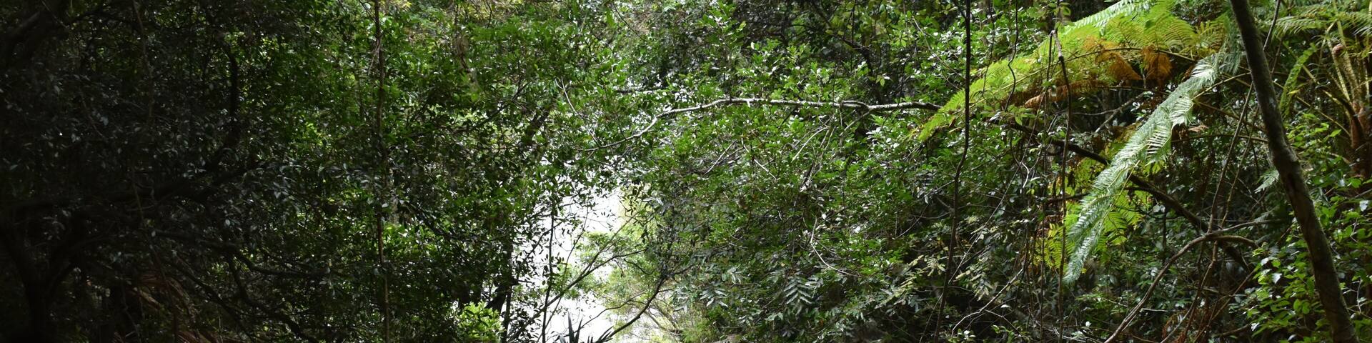 Moran’s Fall Creek