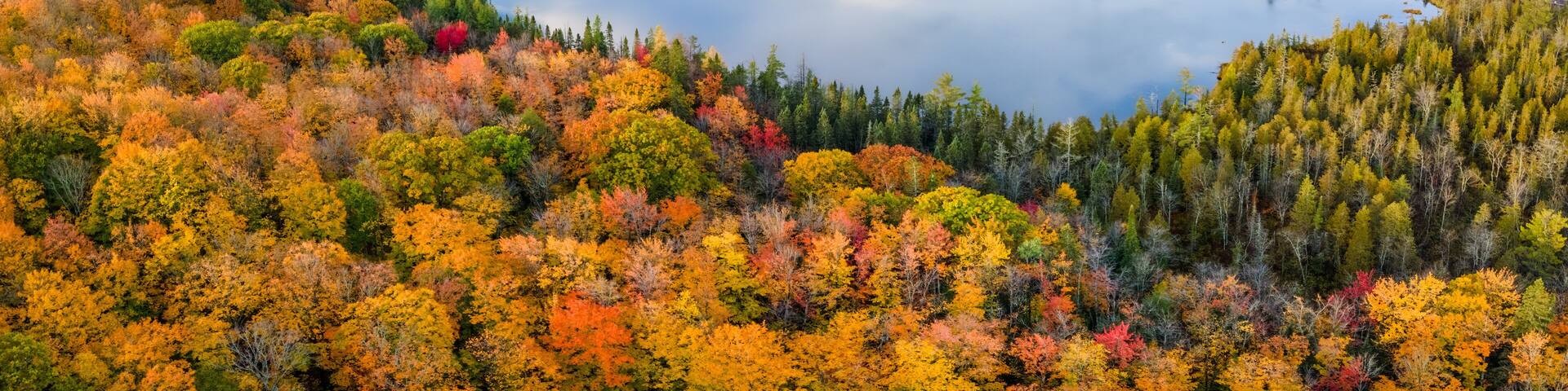 A lake surrounded by autumn-colored trees and a winding road.