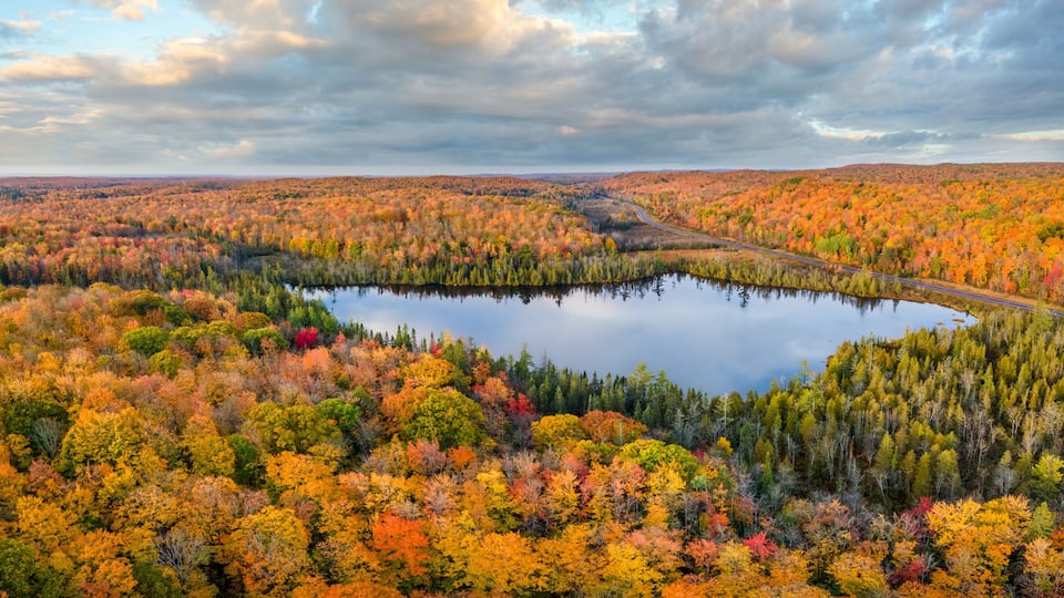 A lake surrounded by autumn-colored trees and a winding road.