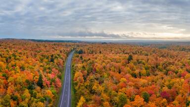 Sunset Autumn drive through the tunnel of Trees in Michigan Upper Peninsula UP - Highway 41 M26 Aerial view
