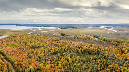 وايتمور ليك