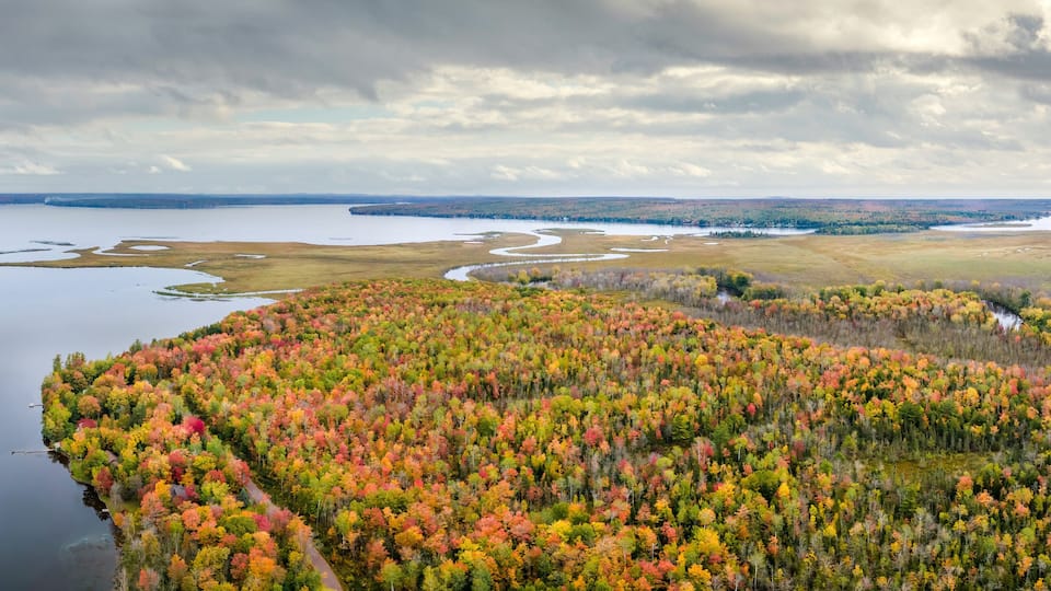 A river winding through a forest with autumn foliage.