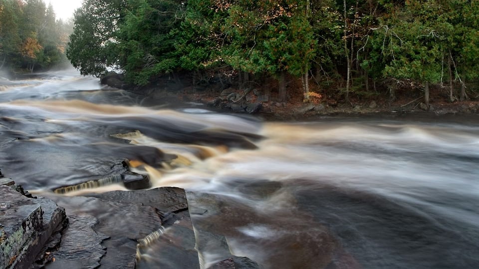 A fast-flowing river with rocky banks and dense forest in the background.