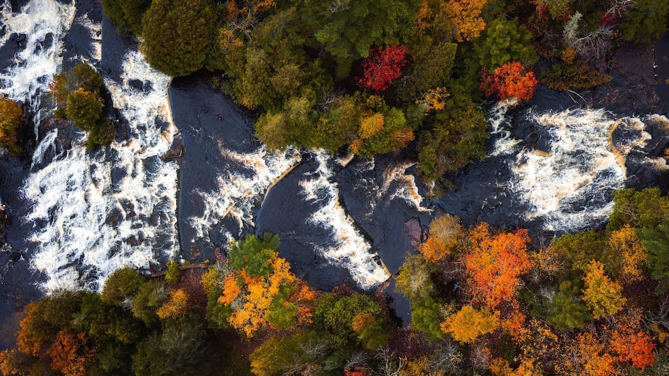 A river with white water rapids surrounded by autumn-colored trees.