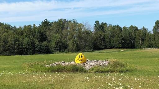 Always love a reminder to smile 🙂