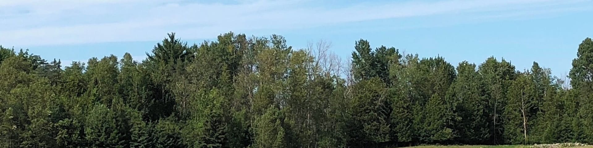 Always love a reminder to smile 🙂