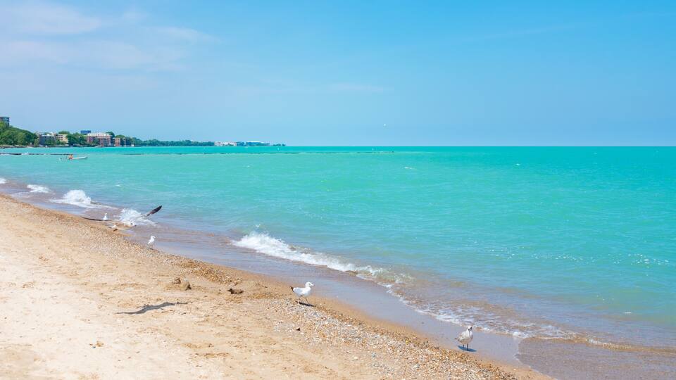 A beach with clear turquoise water, a sandy shore, and a few seagulls.