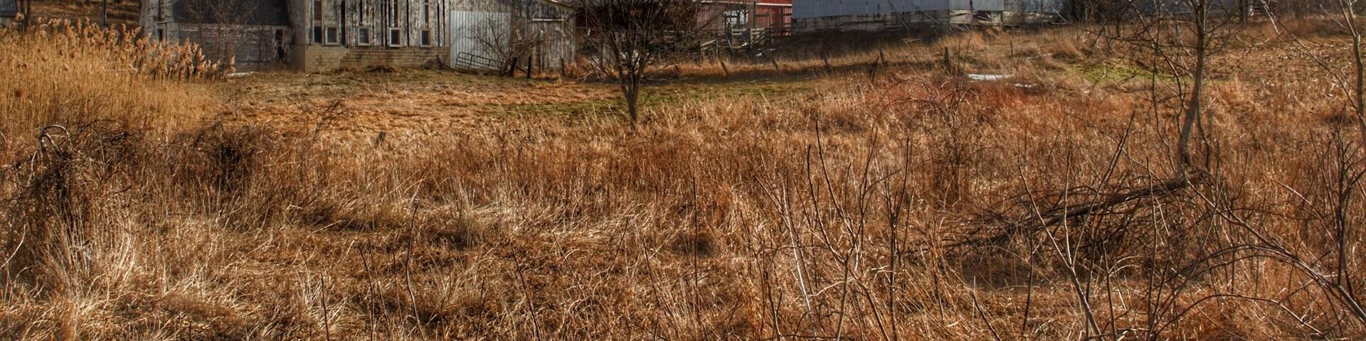 0899 - Newark Road White II (0899-BAR-020320-0242P)