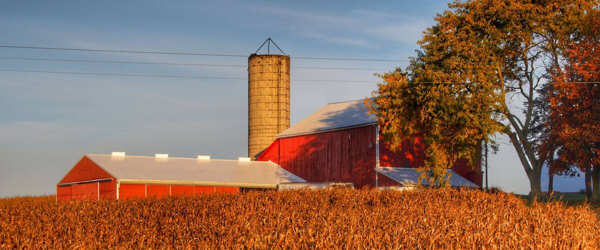 A red barn, a silo, and a cornfield.