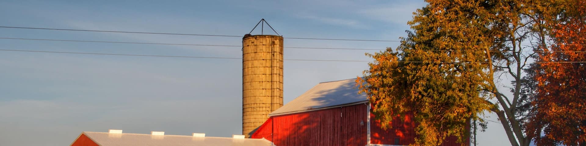 A red barn, a silo, and a cornfield.