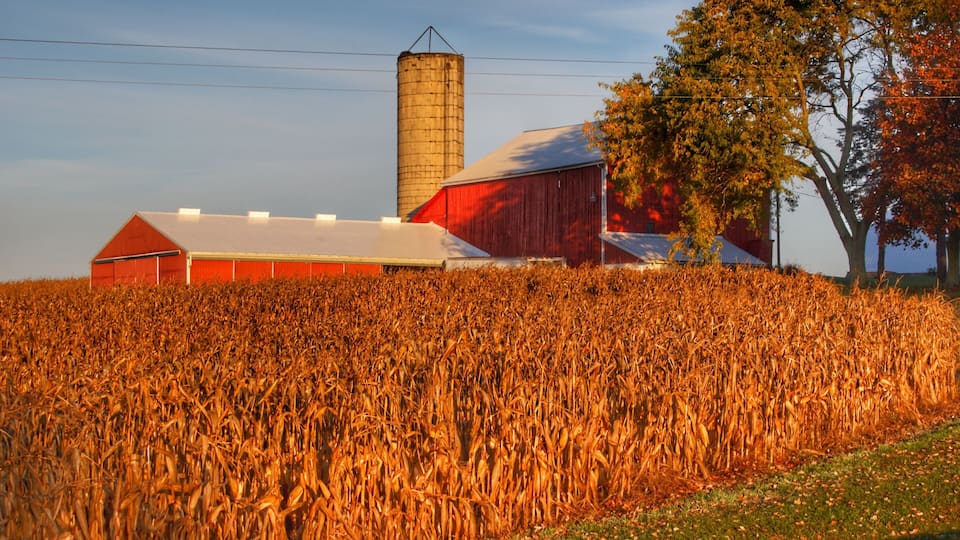 A red barn, a silo, and a cornfield.