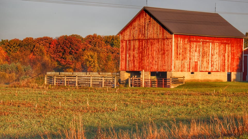 A red barn with a wooden fence in a field with autumn-colored trees.