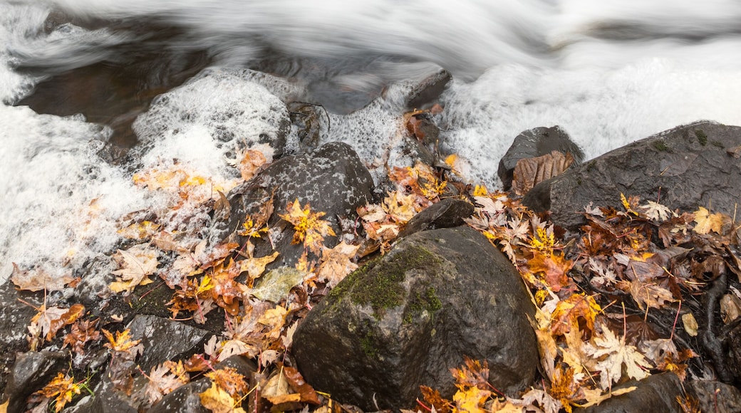 Root Beer Falls in Wakefield Michigan in the Upper Peninsula of Michigan