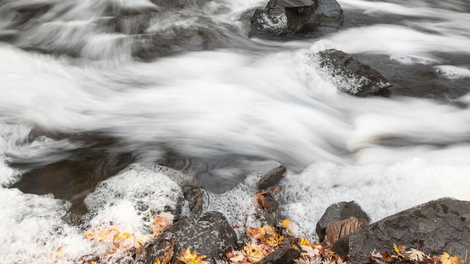 A waterfall cascading over rocks in a forested area with autumn leaves.