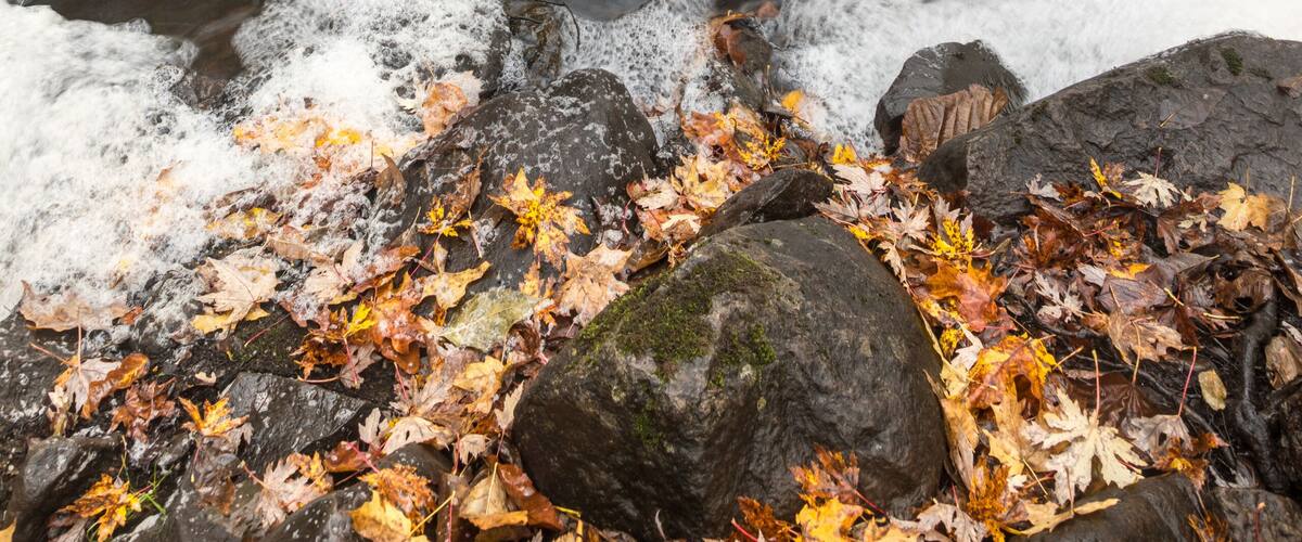 A waterfall cascading over rocks in a forested area with autumn leaves.