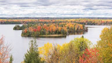 Autumn Colors, Highbanks Trail, AuSable Scenic Byway, MI