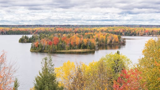 Autumn Colors, Highbanks Trail, AuSable Scenic Byway, MI