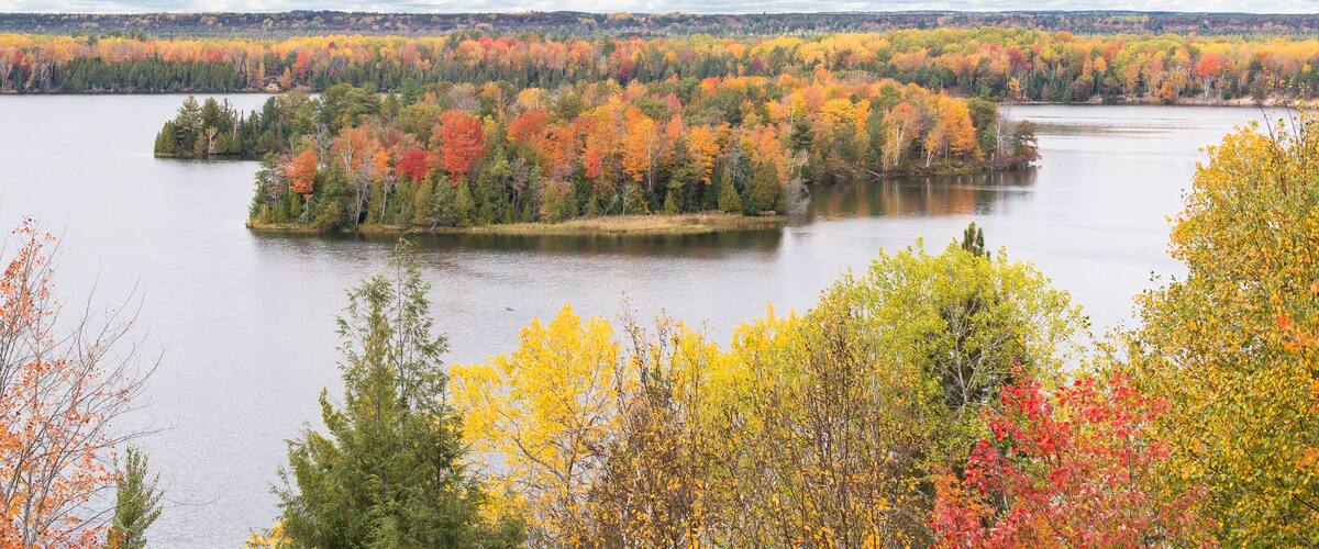 A lake surrounded by autumn-colored trees.