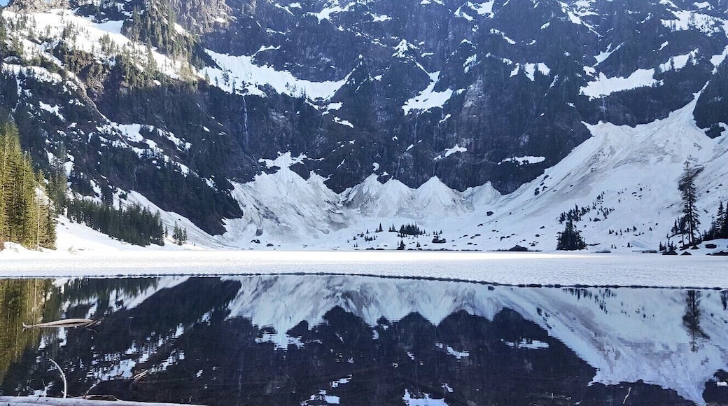 Nature at its best... #lifeatexpedia #summer #evergreenstate #washington #seattlebeauty #laketwentytwo #frozen