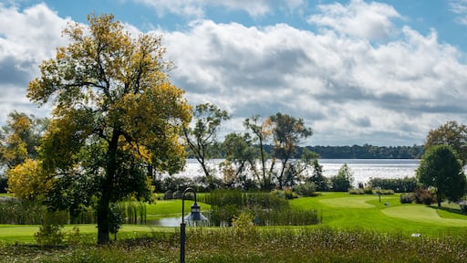 An overlooking view of nature in Alexandria, Minnesota