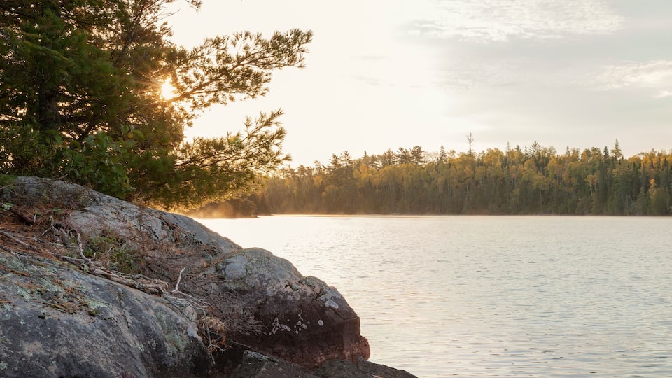 A calm lake with a forested shoreline and a rocky outcrop in the foreground.