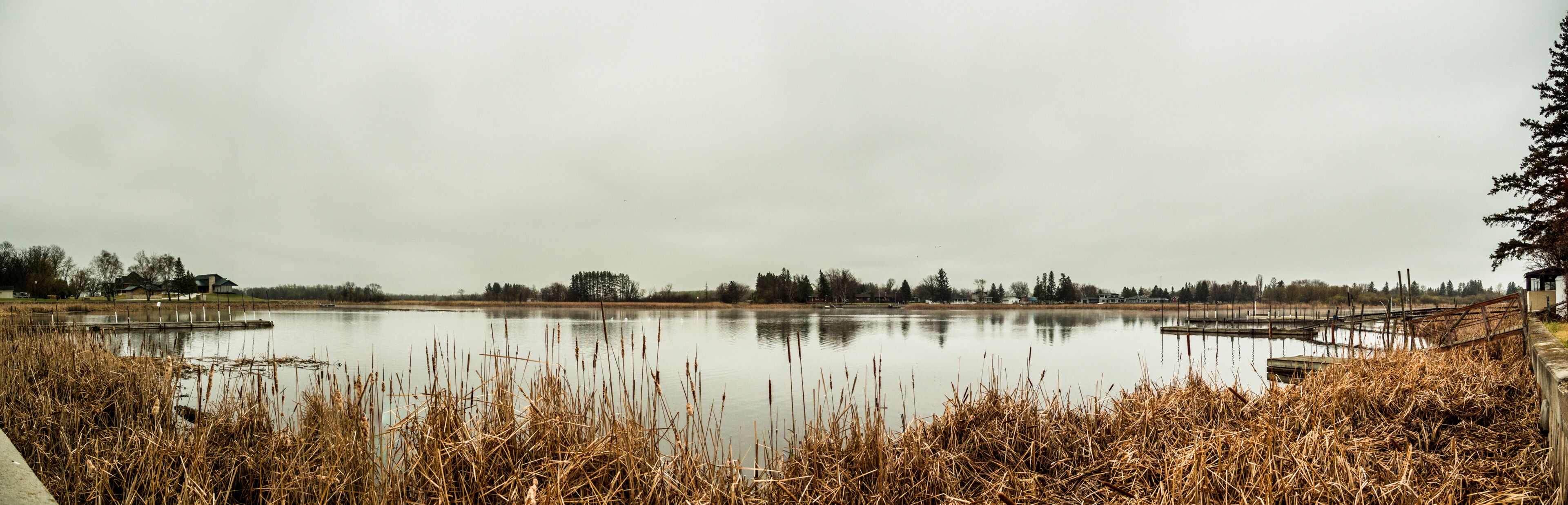 A calm lake with dry reeds in the foreground, a wooden dock on the right, and houses in the background.